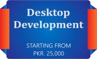 software development